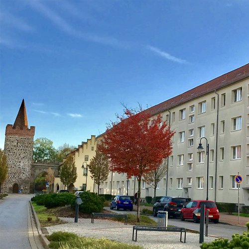 Startseite Bwz Bau Und Wohnungsgesellschaft Mbh Zerbst